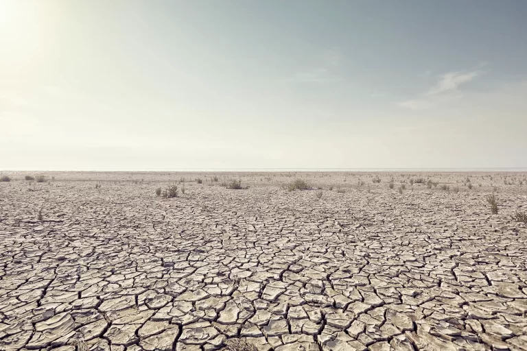 Open-plain-with-cracked-mud-and-clear-sky